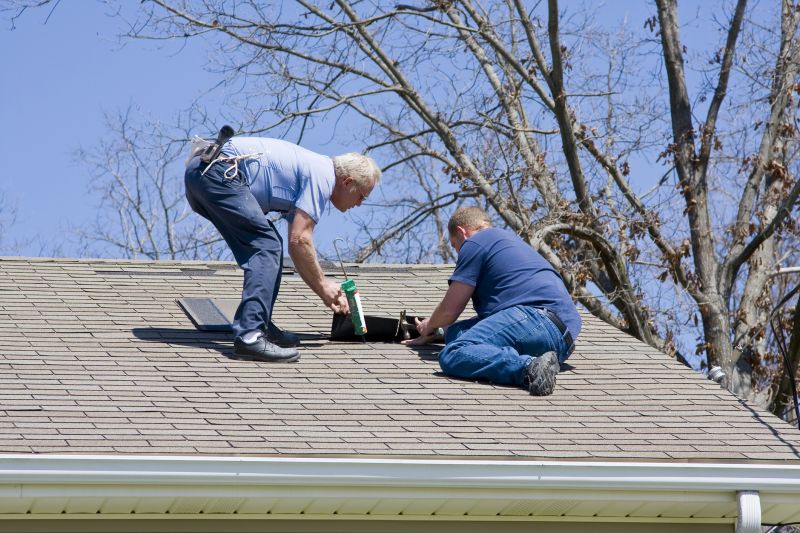 Roof Shingles Repair